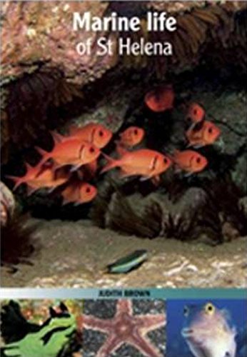 Marine Life of St Helena, by Judith Brown