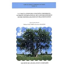 La circulation des concepts juridiques : le droit international de l'environnement entre mondialisation et fragmentation