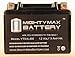 Mighty Max Battery YTX4L-BS Replacement for 1986-87 NQ50 Spree Deep Cycle Battery