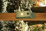 New Songbird Essentials Recycled Plastic Bluebird Nesting Box-Hunter Green With Side Opening Window