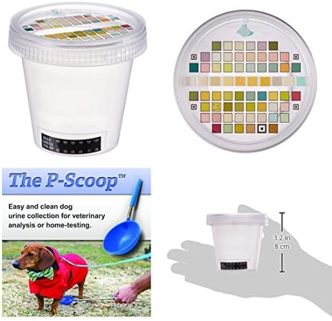 Petnostics PETN-10-1 Urine Test Kit (Urine Test Kit + P-Scoop Urine Collector)