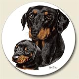 Doberman Pincher Auto Coaster, Single Coaster for Your Car