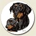 Doberman Pincher Auto Coaster, Single Coaster for Your Car
