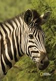 National Geographic by New Creative - Zebra Garden Impressions Flag