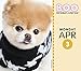 Boo Year-In-A-Box Calendar (2017)