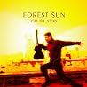 Image of album by Forest Sun