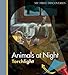 Animals at Night (My First Discoveries: Torchlight)