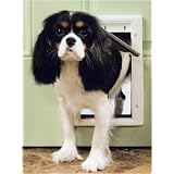PetSafe Plastic Pet Door, Premium White, Medium