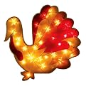 35 Light 15" Frostd Turkey Light Orng/Rd