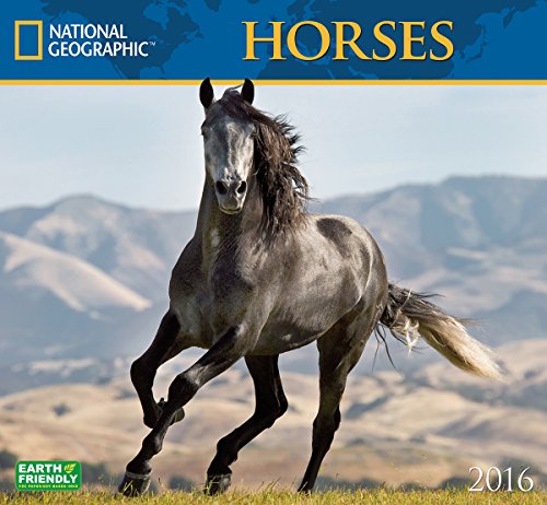 Horses National Geographic 2016 Wall Calendars