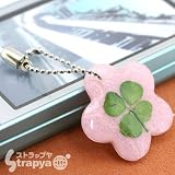 ���Y�E�K���̎l�t�̃N���[�o�[�g�уX�g���b�v�i�V���K�[�s���N/�t�����[�jAHA0187
