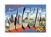 Greetings from St. Louis Missouri Fridge Magnet