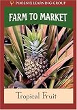 Farm to Market: Tropical Fruit