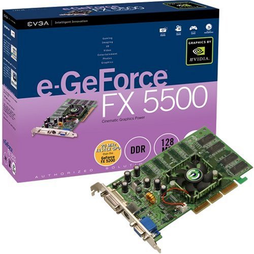 EVGA e GeForce FX 5500 128 MB AGP Video Card