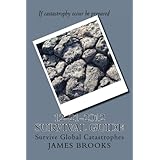 12 21 2012 survival guide survive global catastrophes