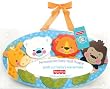Fisher-Price Precious Planet Wood Wall Plaque, Orange