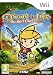 Drawn To Life: The Next Chapter (Wii)