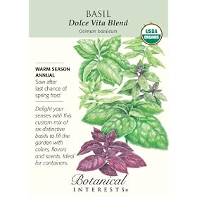Basil Seeds Dolce Vita Blend Certified Organic 500 Seeds