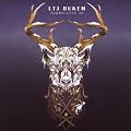 Fabriclive 46: LTJ Bukem