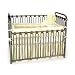 3 Piece Chenille and Satin Crib Bedding Set by Little Giraffe