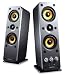Creative Labs GigaWorks T40 Premium 2.0 Multimedia Speaker System with BasXPort Technology