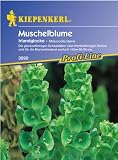 Eigenschaften Kiepenkerl - Blumen-Saatgut  / Moluccella Muschelblume Irlandglocke