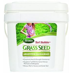 bahia grass seed