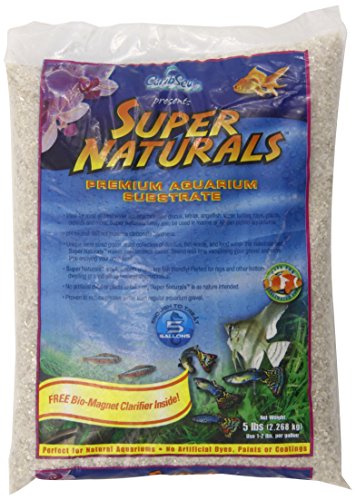 Carib sea acs05823 super natural torpedo beach sand for…