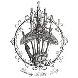 Bella Ladies / Juniors / Girly Tank Top : Beauty Is Skin Deep - Goth Design with Moth and Skeleton Hand