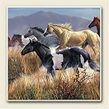 Band of Thunder Western Horses Absorbastone Coasters Set 4 by Artworks Home Accents