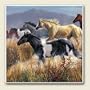 Band of Thunder Western Horses Absorbastone Coasters Set/4