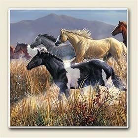Band of Thunder Western Horses Absorbastone Coasters Set 4 by Home Decor
