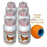 6-PACK Cosequin DS 250 count (1500 capsules) CAPSULES