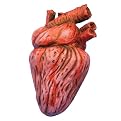 Bloody Heart