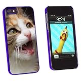 Graphics and More Tabby Kitten Cat Meow - Snap-On Hard Protective Case for Apple iPhone 5/5s - Non-Retail Packaging - Blue