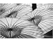 10x8 Photograph (25x20cm) Umbrellas, Thailand *** Local Caption *** by Robert Harding