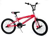Magna Canned Boy's 20-Inch Freestyle Bike