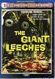 THE GIANT LEECHES