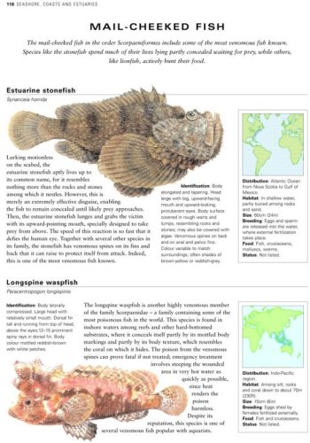 Illustrated World Encyclopedia of Marine Fish and Sea Creatu: A Natural History and Identification Guide to the Animal Life of the Deep Oceans, Open ... Estuaries, and Shorelines of the World