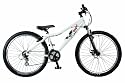 Dirty Weasel Dirt Jump bike