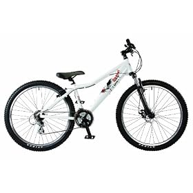 Dirty Weasel Dirt Jump bike