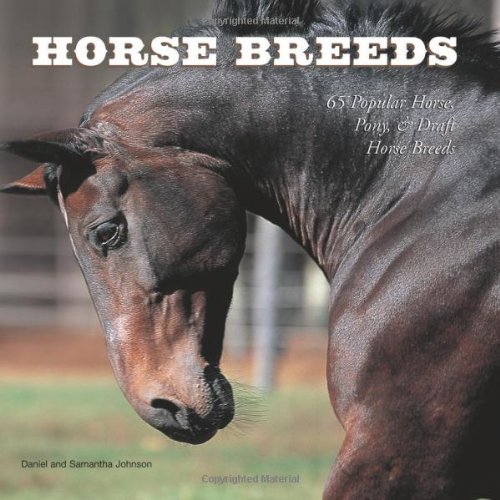 Horse Breeds: 65 Popular Horse, Pony & Draft Horse Breeds