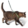 Premier Pet Come with me Kitty Harness Large Electric Lime