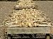 Maincrop Onions Being Dried on Frames in Large Garden, Norfolk, UK Photographic Poster Print by Gary Smith, 40x30