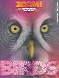 Zoom! The invisible world of - birds