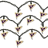 Minnesota Vikings Football Party Lights