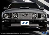2005-2005 Ford Mustang Gt (Bottom Grill) 304 Stainless Steel Chrome Plated Billet Grill Grille
