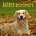 Golden Retrievers 2012 Calendar DOG28