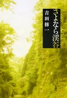 さよなら渓谷