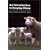 An Introduction to Keeping Sheep